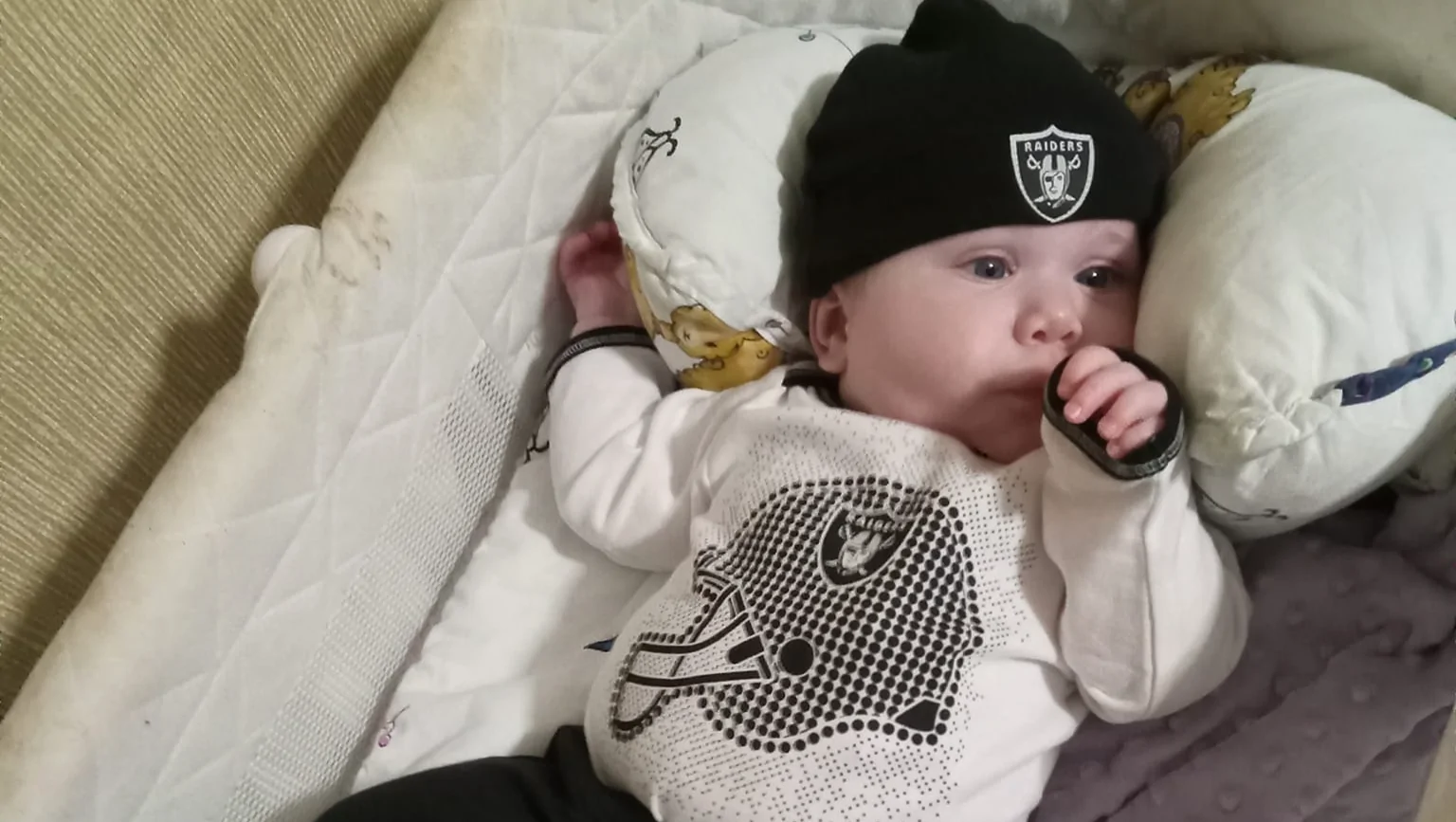 Help Devin’s Family with Raider’s Medical Costs – GoFundMe Fundraiser gofundme Donation Help