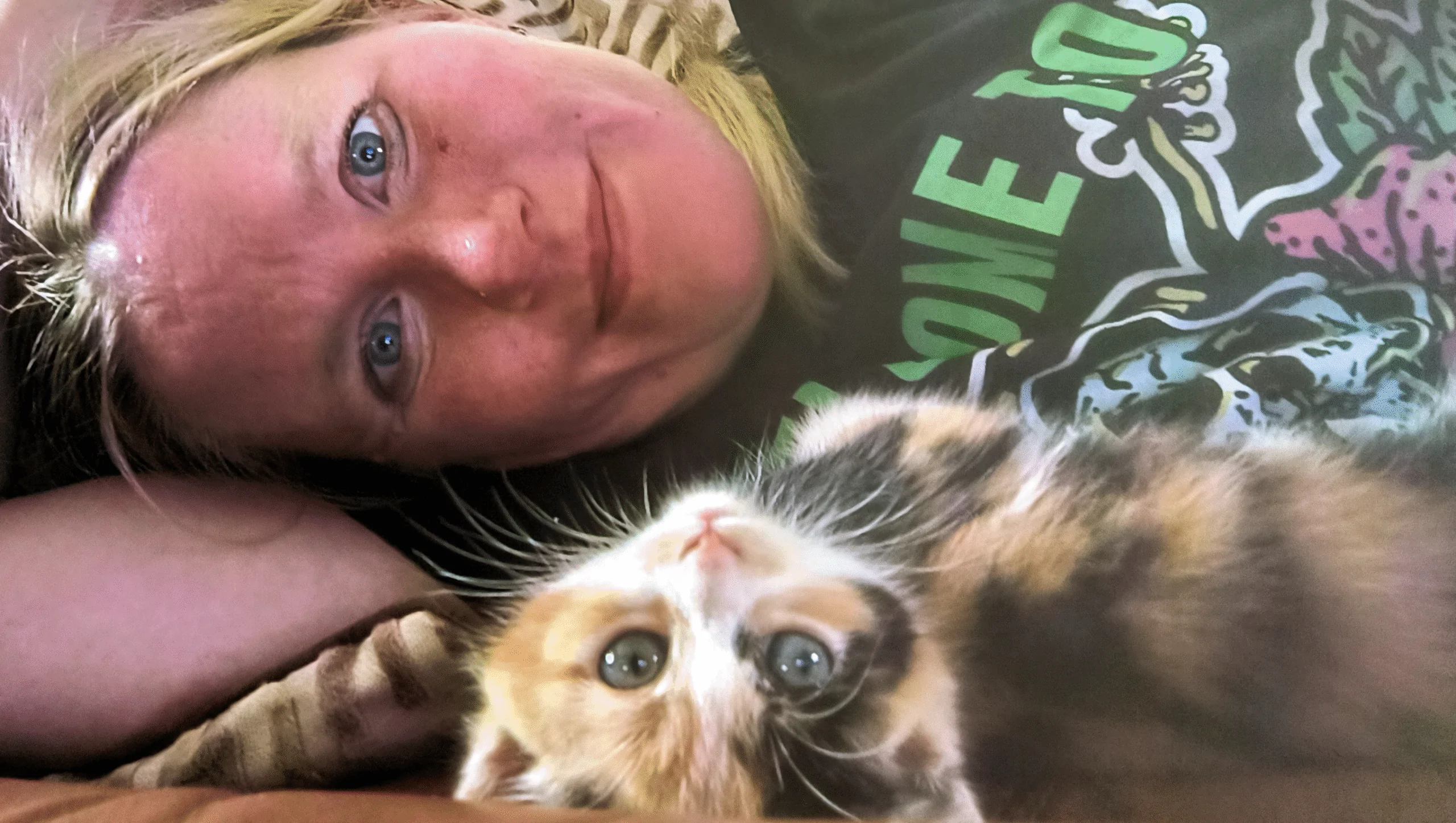 Support Lindsay: A Heart for Cats and Care – GoFundMe Fundraiser gofundme Donation Help